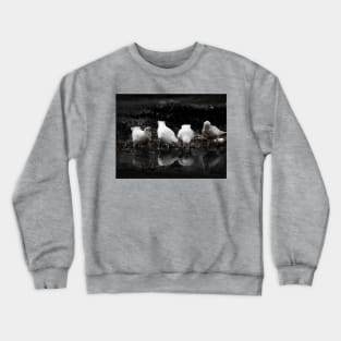 Little Corellas_6456A Crewneck Sweatshirt